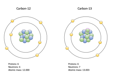 Carbon-13 labeled compounds